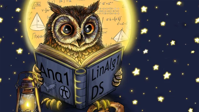 Owl learns math from a book at night